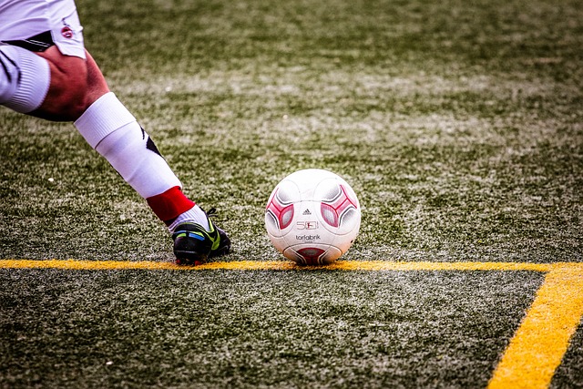 哈尔滨成了 哈尔滨成了