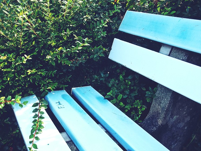 重慶兩江競 重慶兩江競