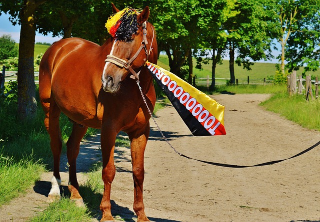 将精力集中 将精力集中