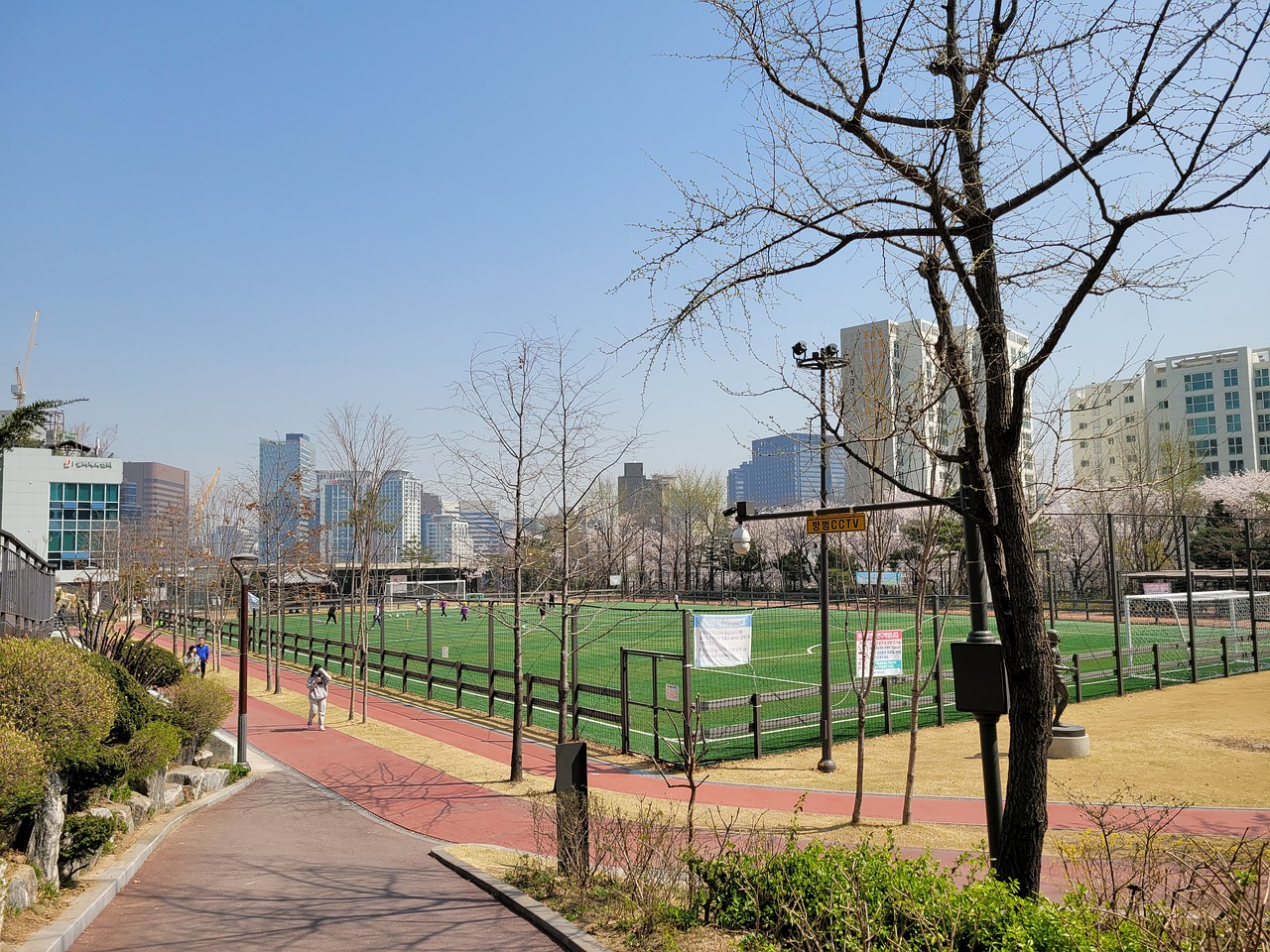 大马职篮联 大马职篮联