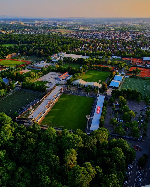 堪称完美 堪称完美