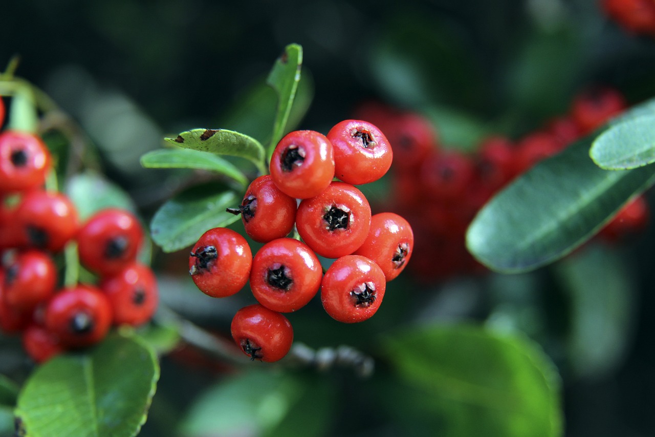 每个细节都 每个细节都