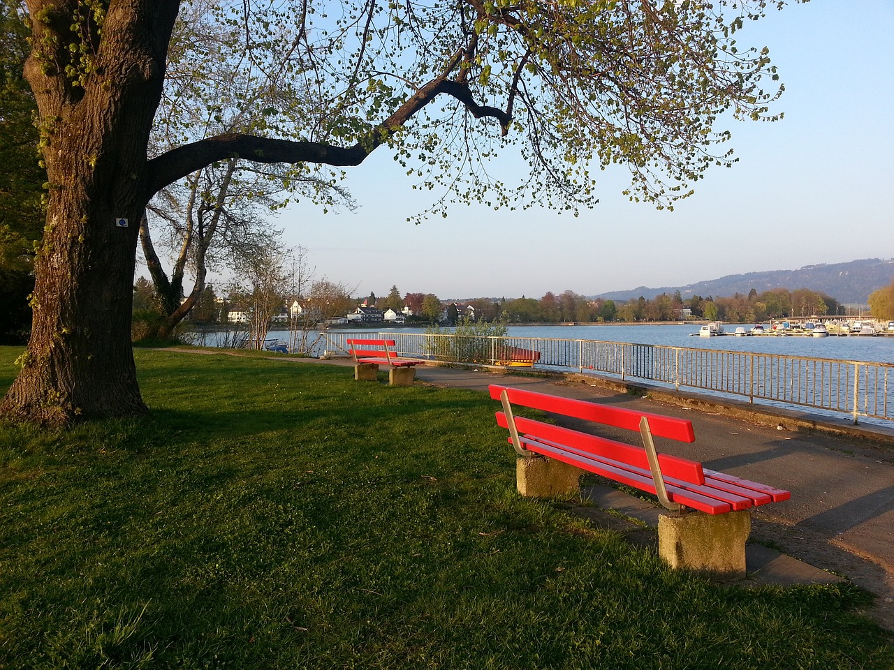 在全球足球 在全球足球